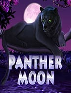 ask me bet สมัคร เพื่อเข้าร่วมสนุกกับเกมสล็อตออนไลน์